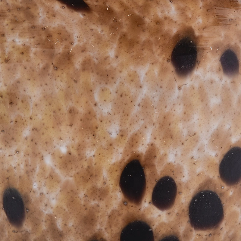 9oz Leopard Print Glass Votive Candle Holders Soy Wax Jar Home Decor Wholesales