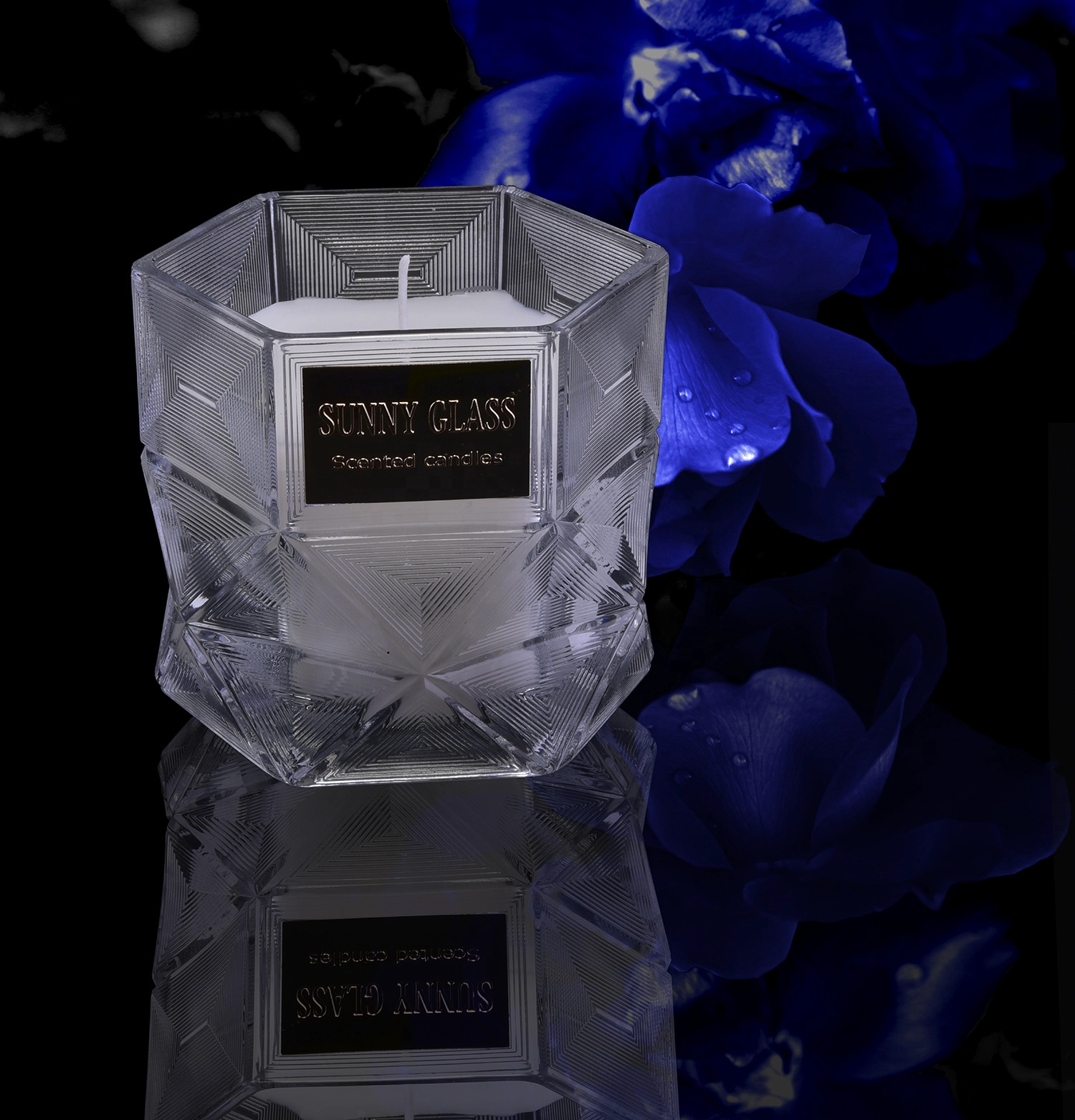 Wholesales Sunny luxury empty Hexagon scented glass candle holders