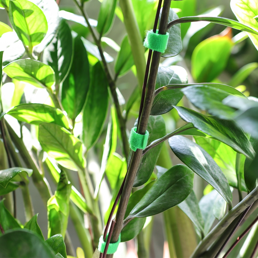 挂钩和环植物领带供应商额外柔性室外使用植物紧固件
