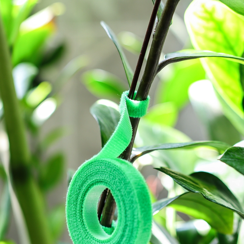 Proveedor profesional TIENES AJUSTABLE PLANTA FÁCIL PIGO DE GARRO DE GARDÍN Garden Tada de árboles Vínculo de planta reutilizable fuerte para plantas de jardinería