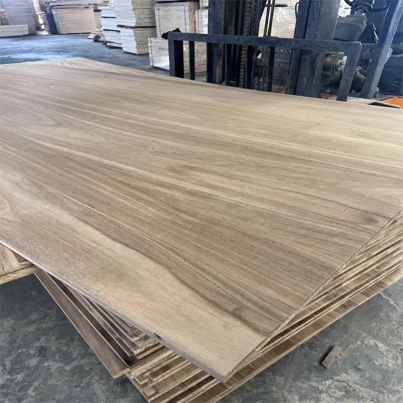 Legno carbonizzato Paulownia Legname sfuso Legno di Paulownia Pannello solido
