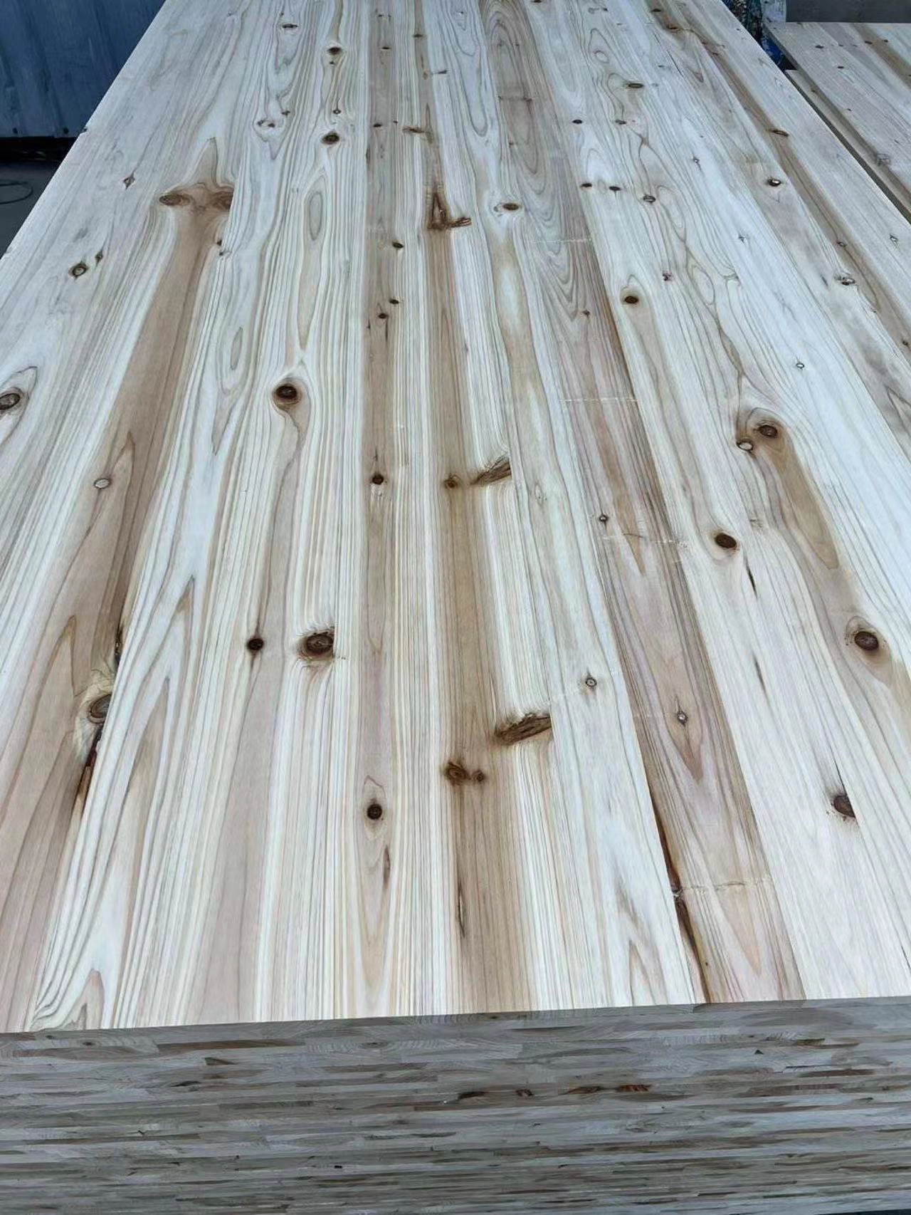 Lancement officiel du projet de production de sapin baumier