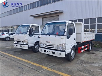 ISUZU Brand Factory Оптовая продажа 3 тонны Поставщик грузовых фургонов в Китае
