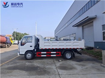 ISUZU Brand Factory Оптовая продажа 3 тонны Поставщик грузовых фургонов в Китае