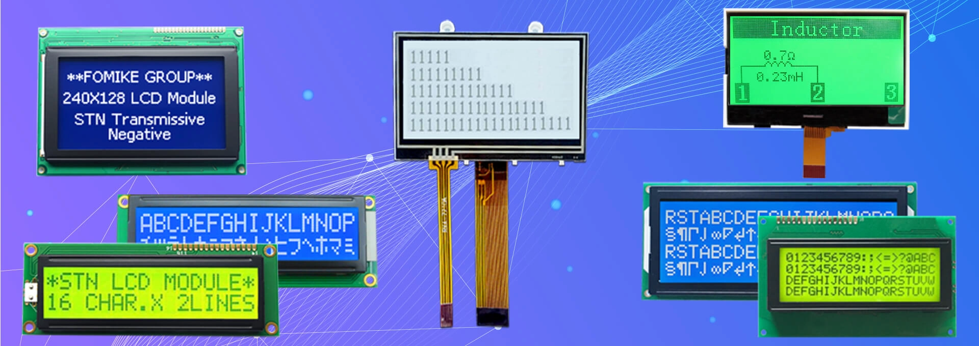 Monochrome LCD Module