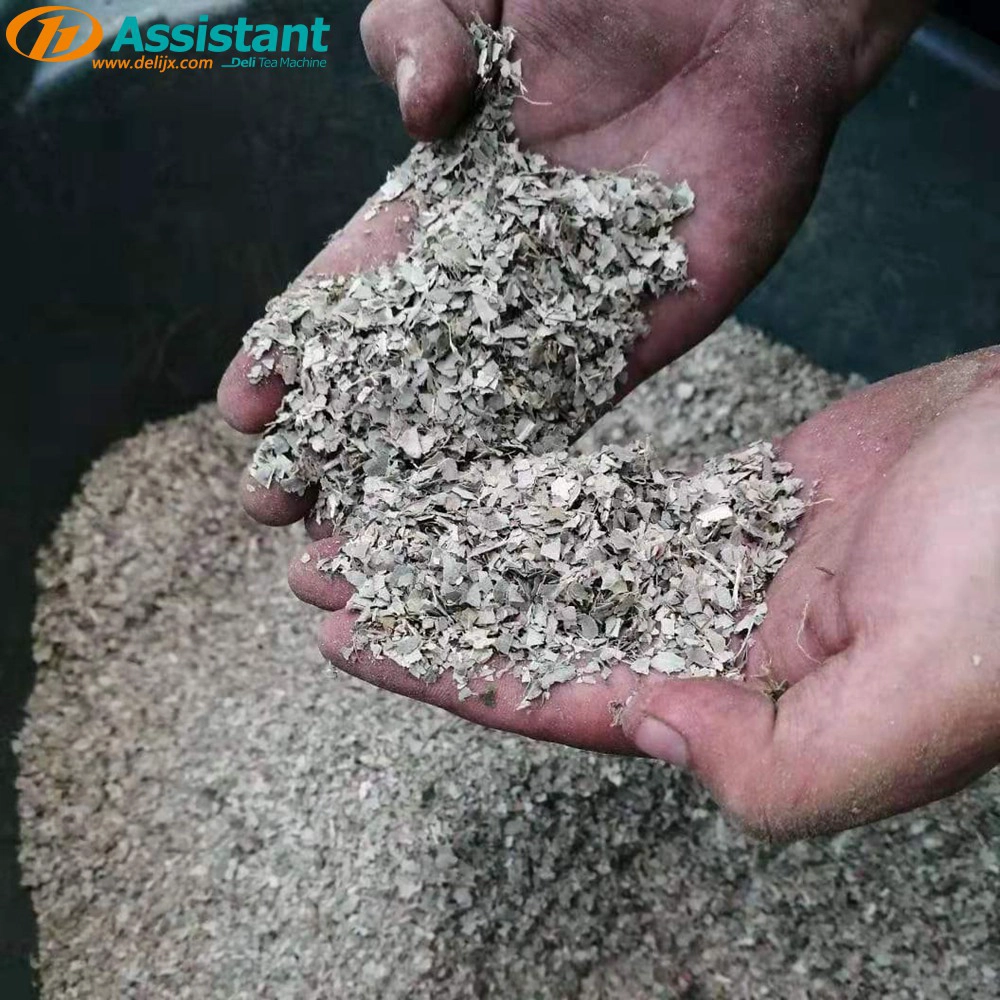 Tea Fragment Crushing Shredding Machine Tea Leaf Crusher For Packing Tea Bag DL-6CCQ-63