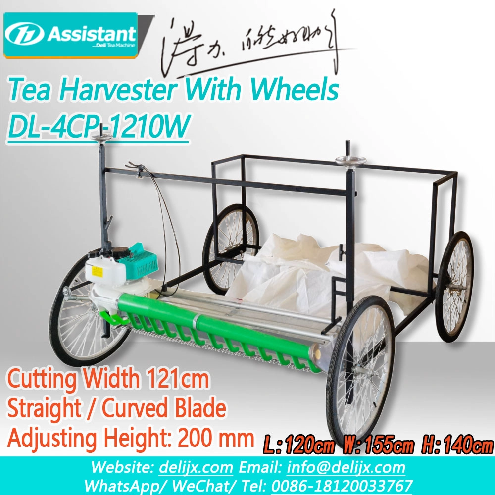 China 1210mm Lavender Herb Harvester Machine With Rack And Wheels DL-4CP-1210W manufacturer 1210mm Lavender Herb Harvester Machine With Rack And Wheels DL-4CP-1210W
