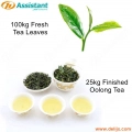 25kg işleme makineler tarafından bitmiş oolong çayı