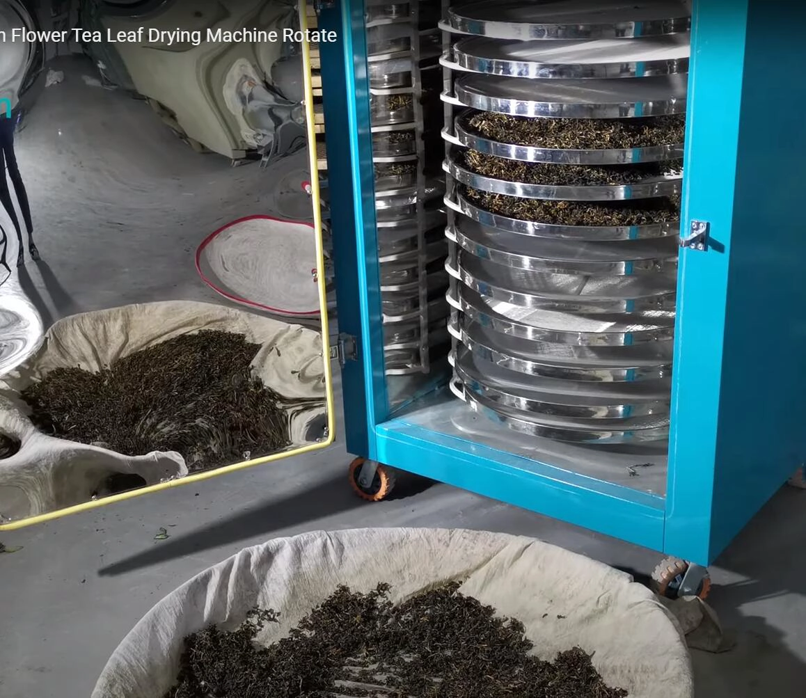 White Tea Drying