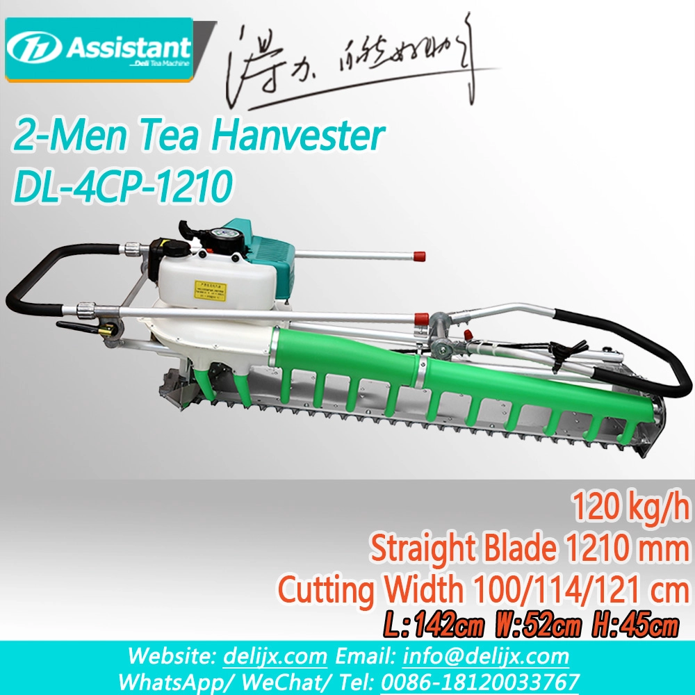 China 2-Men Used Straight Blade 2 Stroke Tea Leaf Harvester Machine DL-4CP-1210 manufacturer 2-Men Used Straight Blade 2 Stroke Tea Leaf Harvester Machine DL-4CP-1210