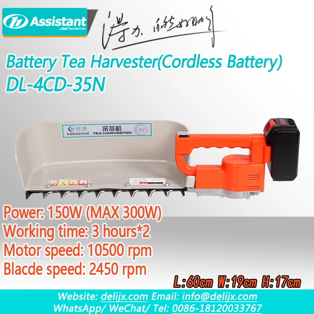 Récolte de thé avec la batterie au lithium 18V 5.2AH Faire une batterie à batterie MINI CHARDESTER