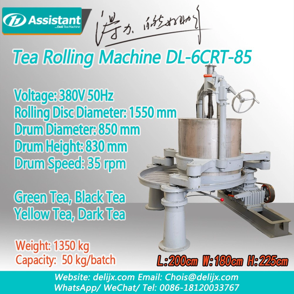 Cina Large Double Action Tea Leaf Twist Machine DL-6CRT-75 - COPY - pcdsjh pabrikan Large Double Action Tea Leaf Twist Machine DL-6CRT-75 - COPY - pcdsjh