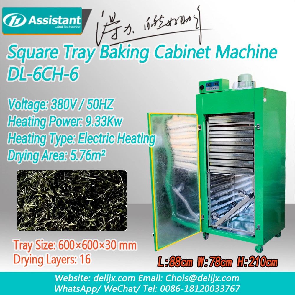 Green Tea Square Tray Hot Air Baking Cabinet DL-6CH-6
