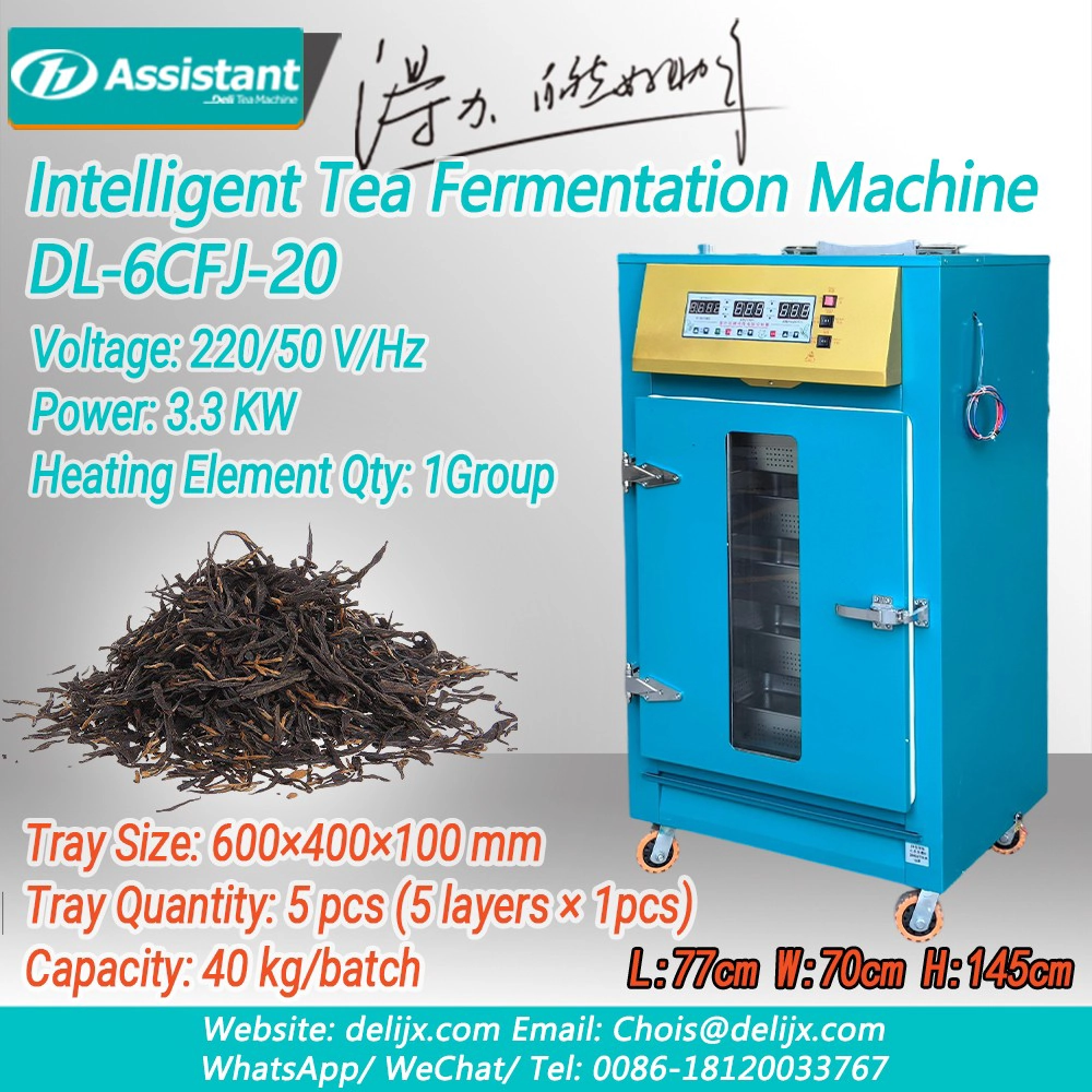 ประเทศจีน เครื่องหมักชาดำอัจฉริยะพร้อมถาด 5 ถาด DL-6CFJ-20 ผู้ผลิต เครื่องหมักชาดำอัจฉริยะพร้อมถาด 5 ถาด DL-6CFJ-20