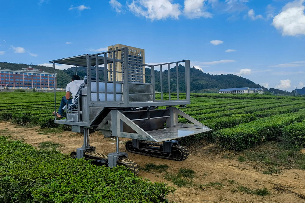 Ride On Tea Picker