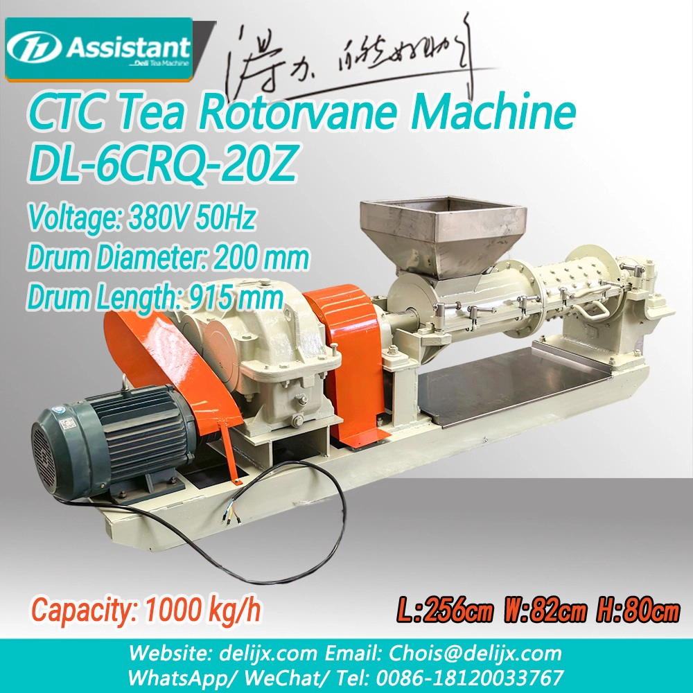 China Rotorvane CTC Teh Rolling-Cutting Crusher baru DL-6CRQ-20Z pengilang