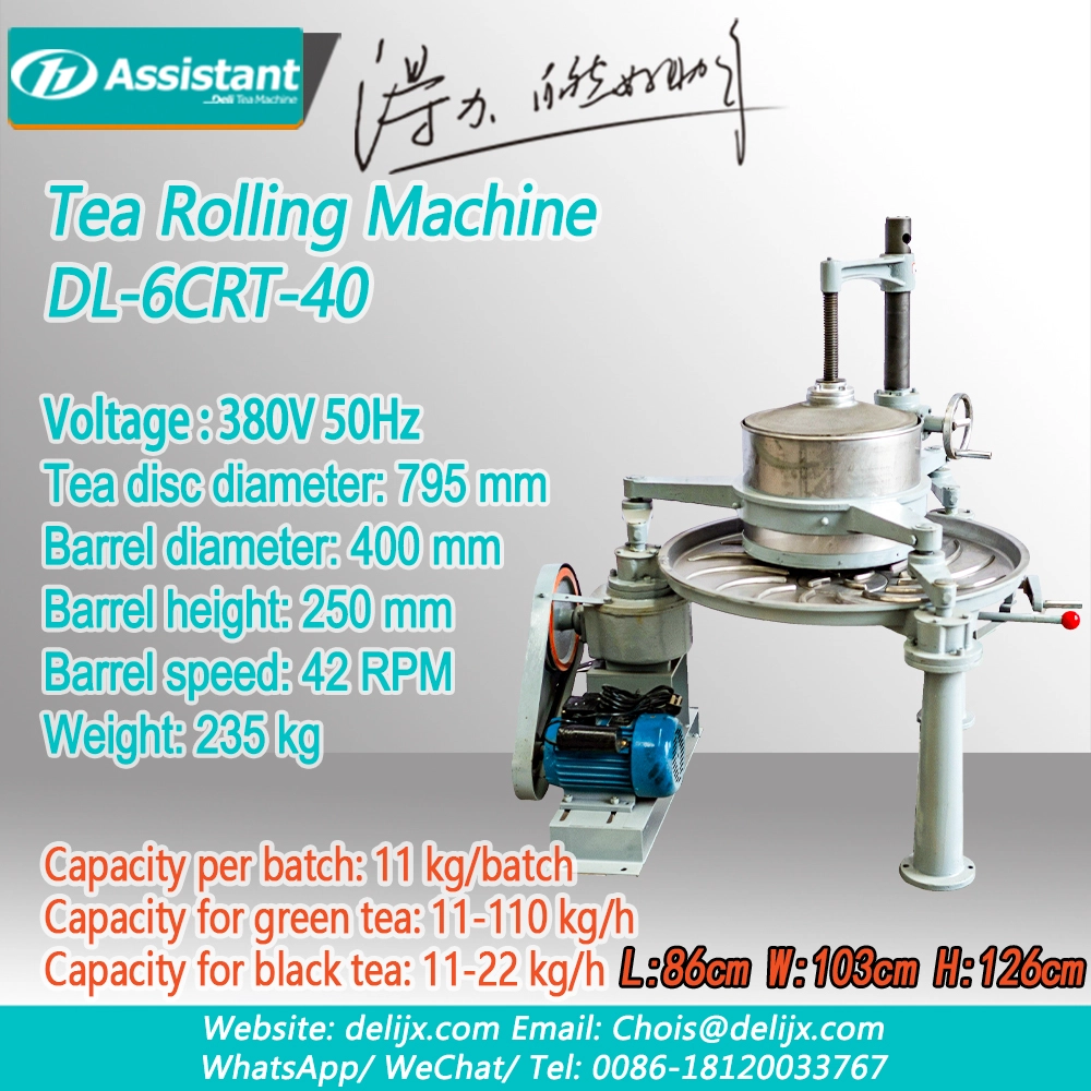 ประเทศจีน 40cm Battel Middle Type Tea Twister Twisting Machine DL-6CRT-40 - COPY - 36hk05 ผู้ผลิต 40cm Battel Middle Type Tea Twister Twisting Machine DL-6CRT-40 - COPY - 36hk05