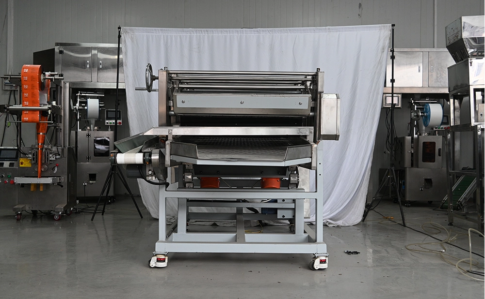 electrostatic dust removal machine