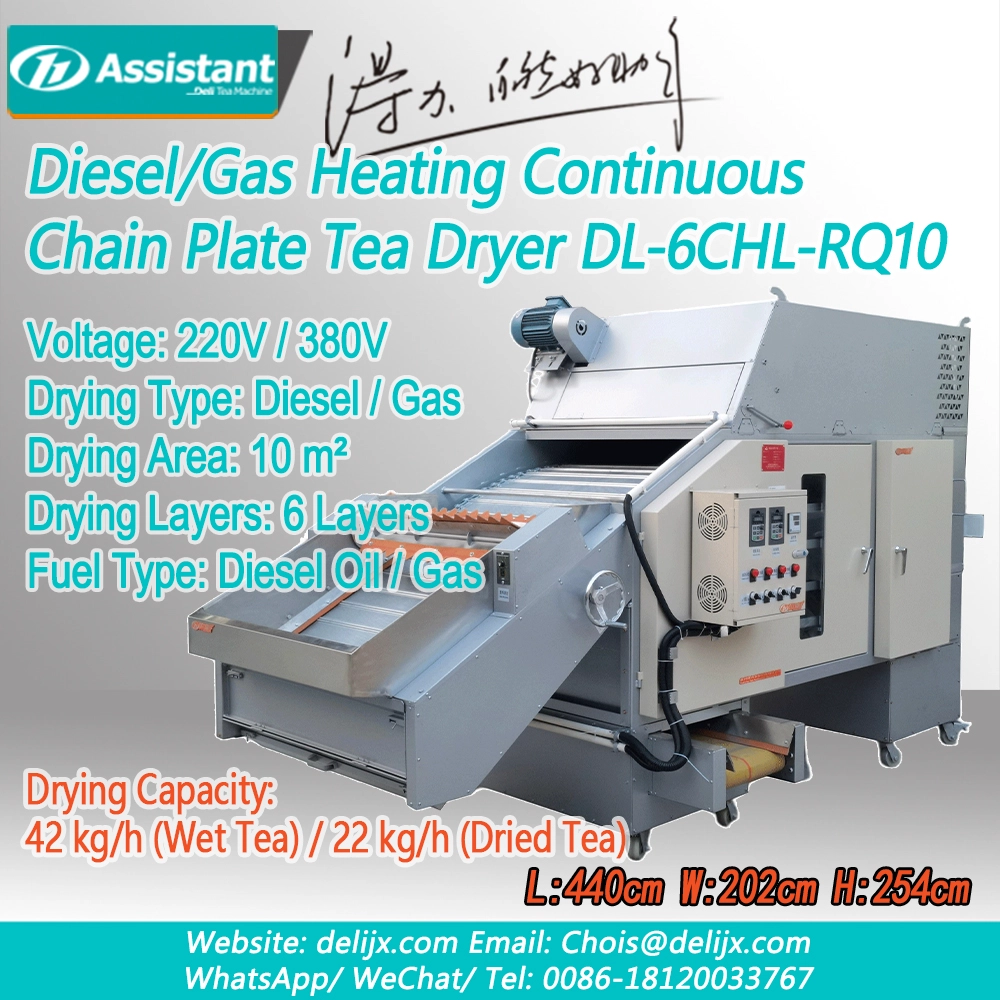 China Top Blowing Gas/Diesel Heating Type Tea Drying Machine DL-6CHL-RQ10 manufacturer Top Blowing Gas/Diesel Heating Type Tea Drying Machine DL-6CHL-RQ10