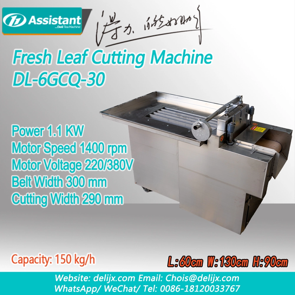 Trung Quốc Máy Cắt Lá Tươi (Cắt Kích Thước Nhỏ) DL-6GCQ-30 nhà chế tạo