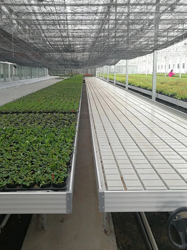 Tidal Seedbeds: Efficient Seedling Production in Industrialized Agriculture