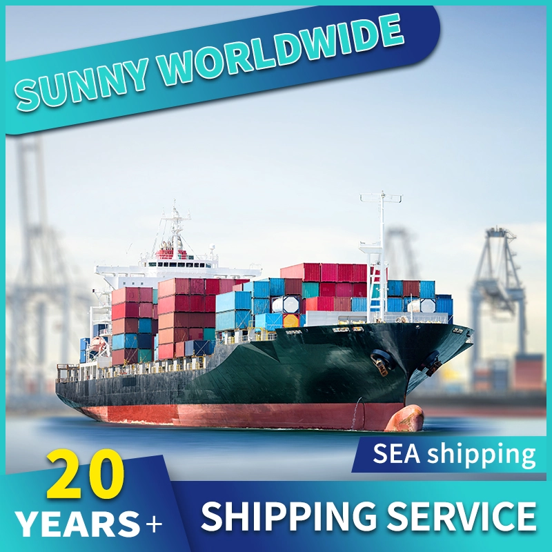 China DDP Sea Freight from China To USA UK Australia FBA shipping door to door good price Freight Forwarder