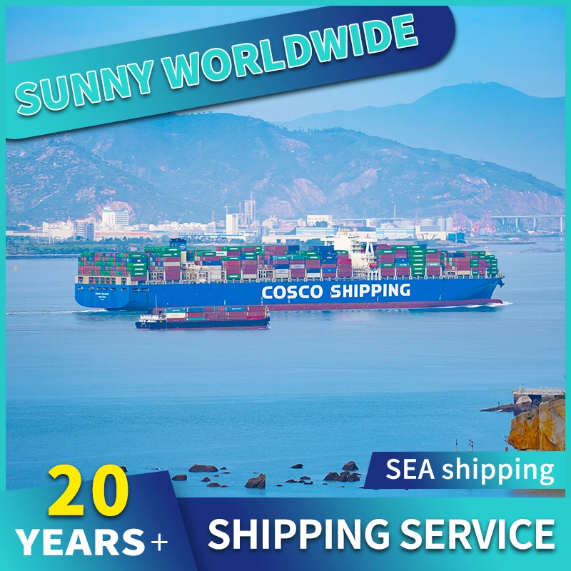 China Swwls Sea Freight From China To Brazil LCL Logistics Services Door To Door Best Rates DDP Freight Forwarder