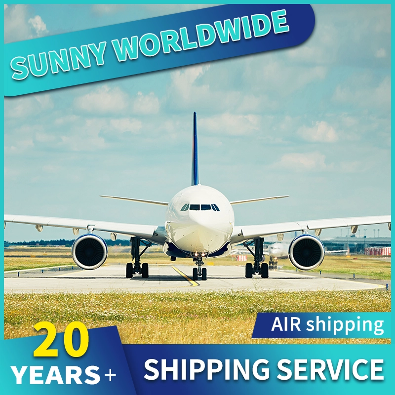 China Swwls Air Freight Cargo Agent Forwarder Luftversand nach Kanada vom Shenzhen Shipping Agent Frachtwächterin
