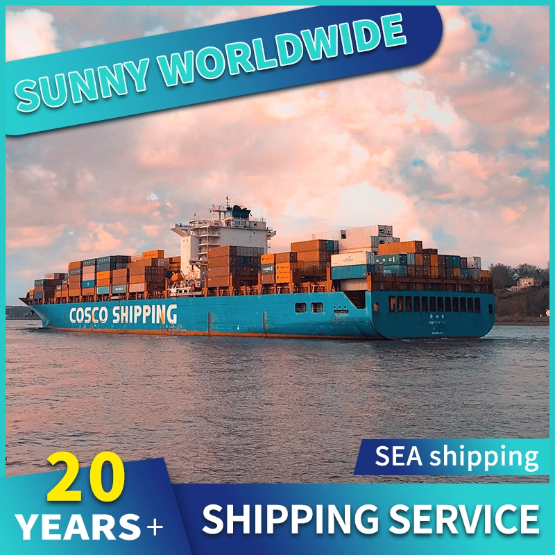 China SWWLS agent shipping china amazon fba freight forwarder door to door service Freight Forwarder