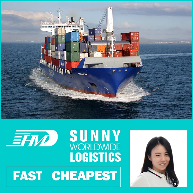China Swwls Local freight forwarder from shenzhen to Germany sea freight ocean cargo freight rates Freight Forwarder