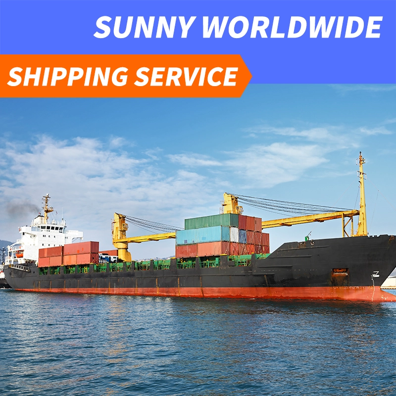 China Swwls Ocean freight forwarder 20GP 40GP door to door China to Germany DDU container shipping logistics services Freight Forwarder