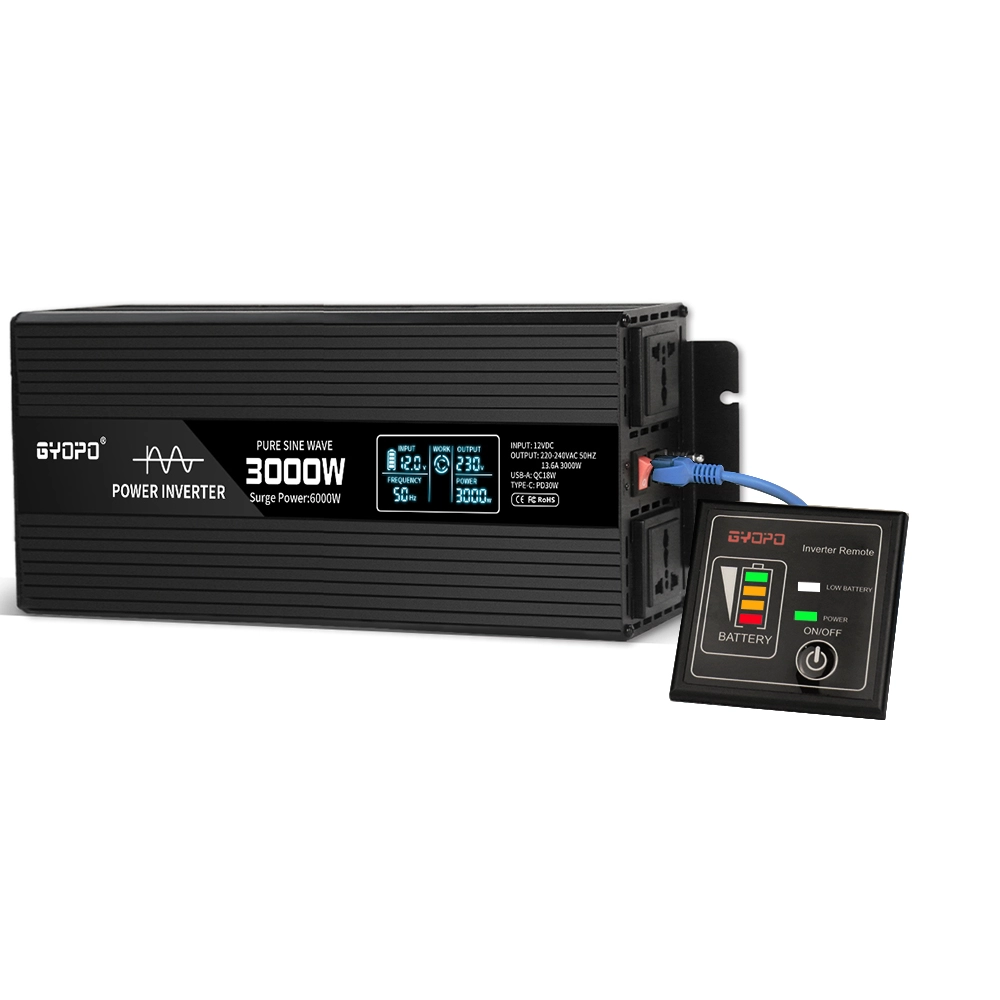 China 12V 220V 3000W Pure Sine Power Inverter manufacturer