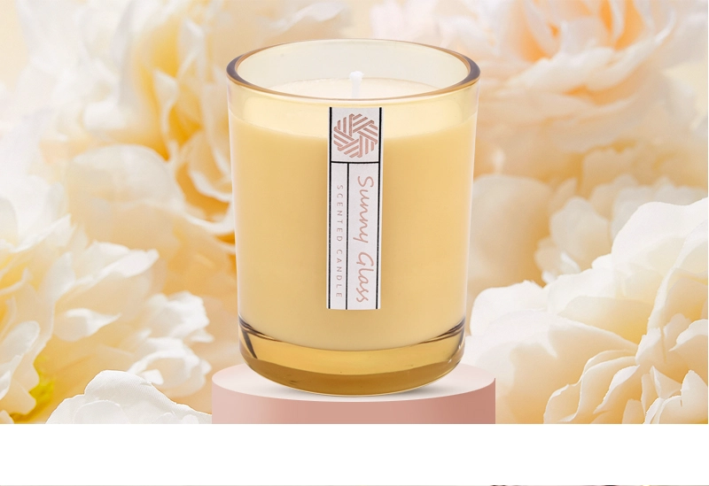 10 oz 300ml modern glass candle vessels garden decor customized color