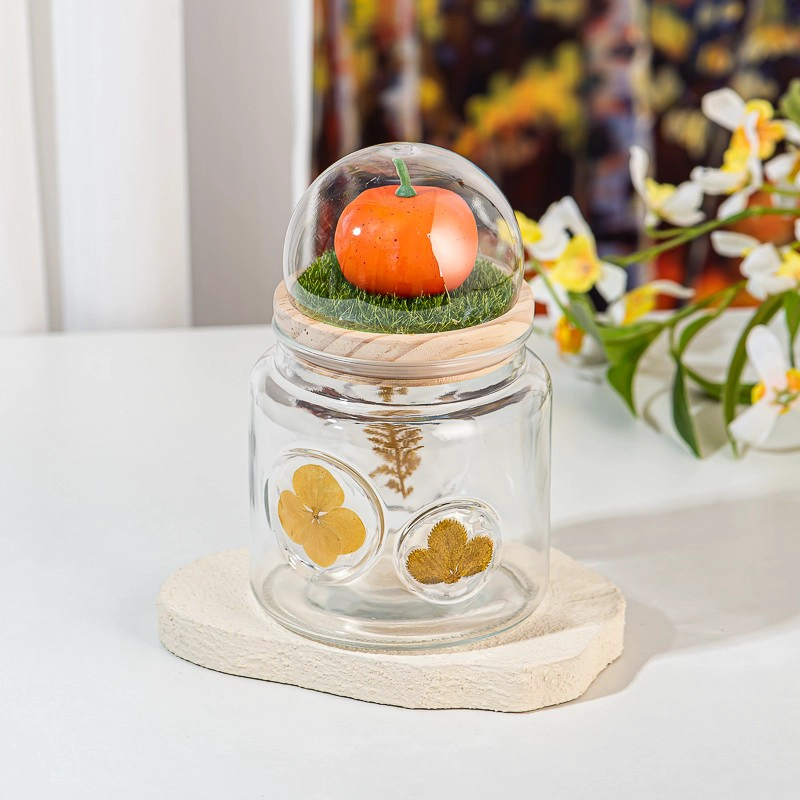 glass contianer with dry plant on the glass wall glass contianer with dry plant on the glass wall