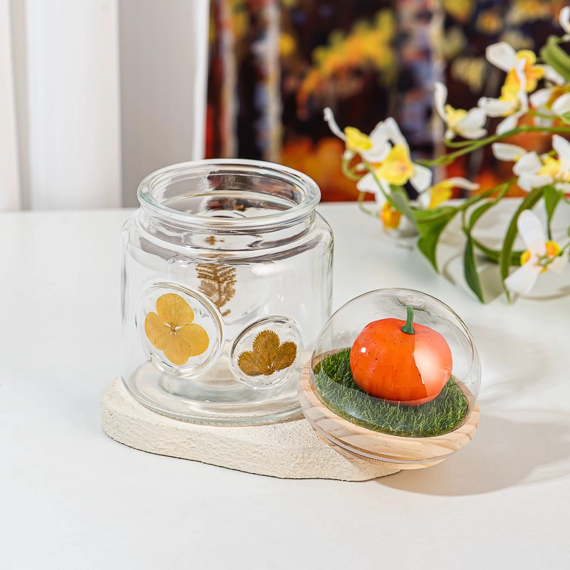glass contianer with dry plant on the glass wall glass contianer with dry plant on the glass wall