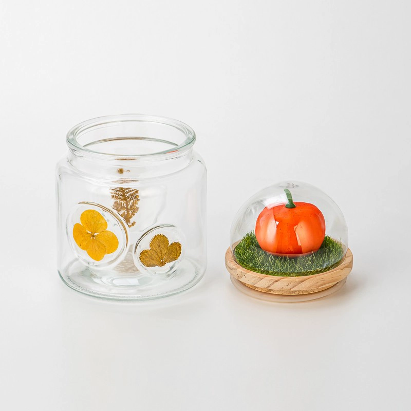 glass contianer with dry plant on the glass wall glass contianer with dry plant on the glass wall