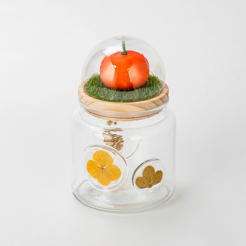 glass contianer with dry plant on the glass wall glass contianer with dry plant on the glass wall