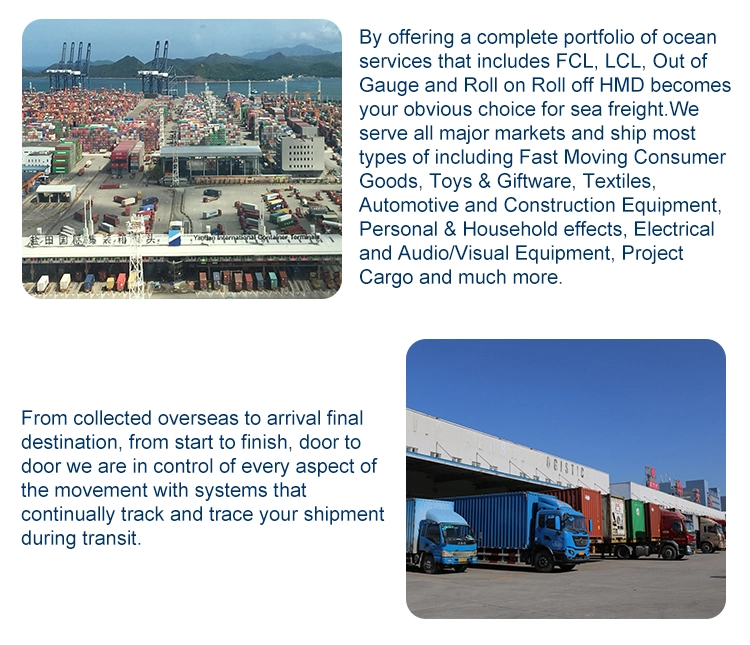 cheap and fast international sea freight from china shenzhen to Tampa USA with door to door service