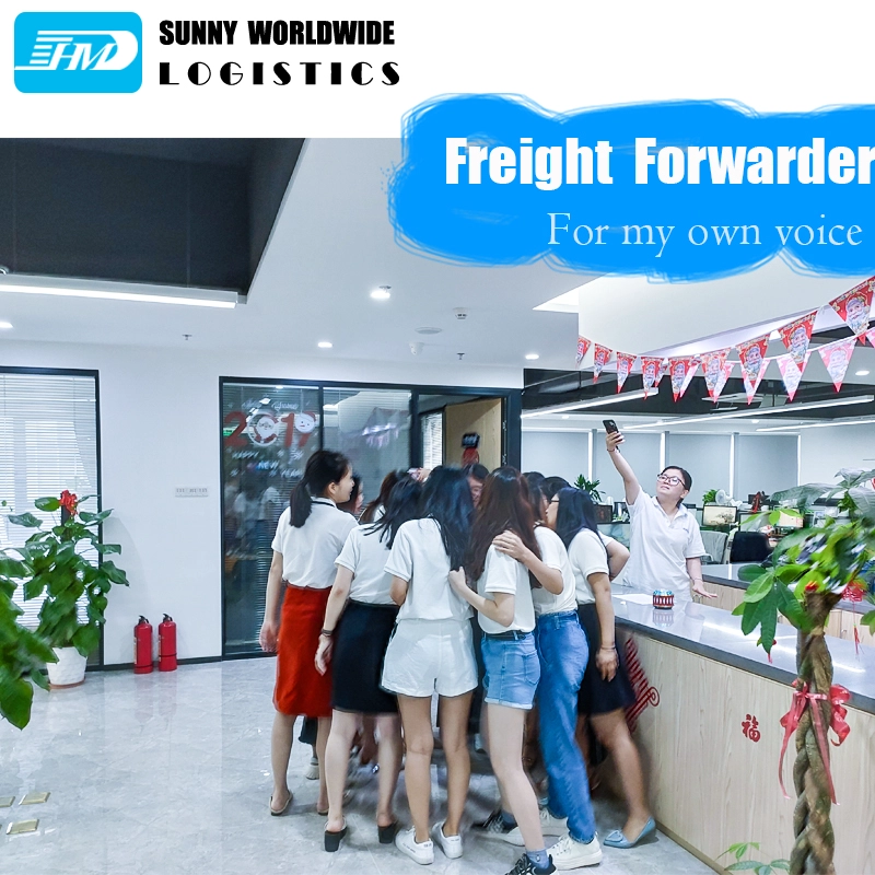 Freight forwarder china to Germany door to door service FCL container sea warehouse in Shenzhen