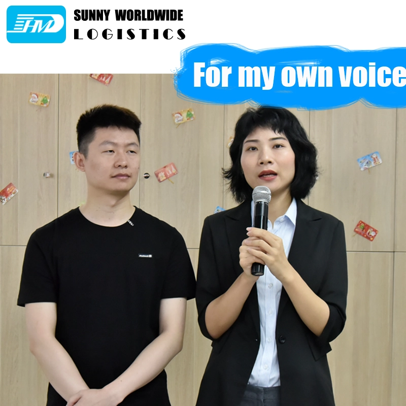 Von China zum philippinischen Meer. Spediteur-Agent, der China Tür-zu-Tür-Service-Lager in Shenzhen versendet