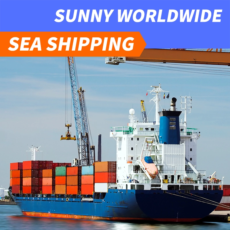 DDP-Spediteur von China nach Philippinen, Türseeversand, Zhejiang-China-Spediteur, schneller Seeversand