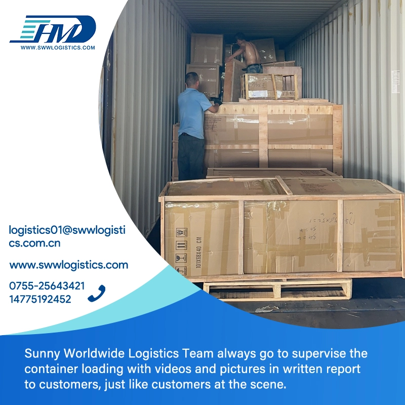Swwls logistique bon marché de DDP de fret aérien de la Chine au Danemark Air Express DDP Service d'expédition transitaire