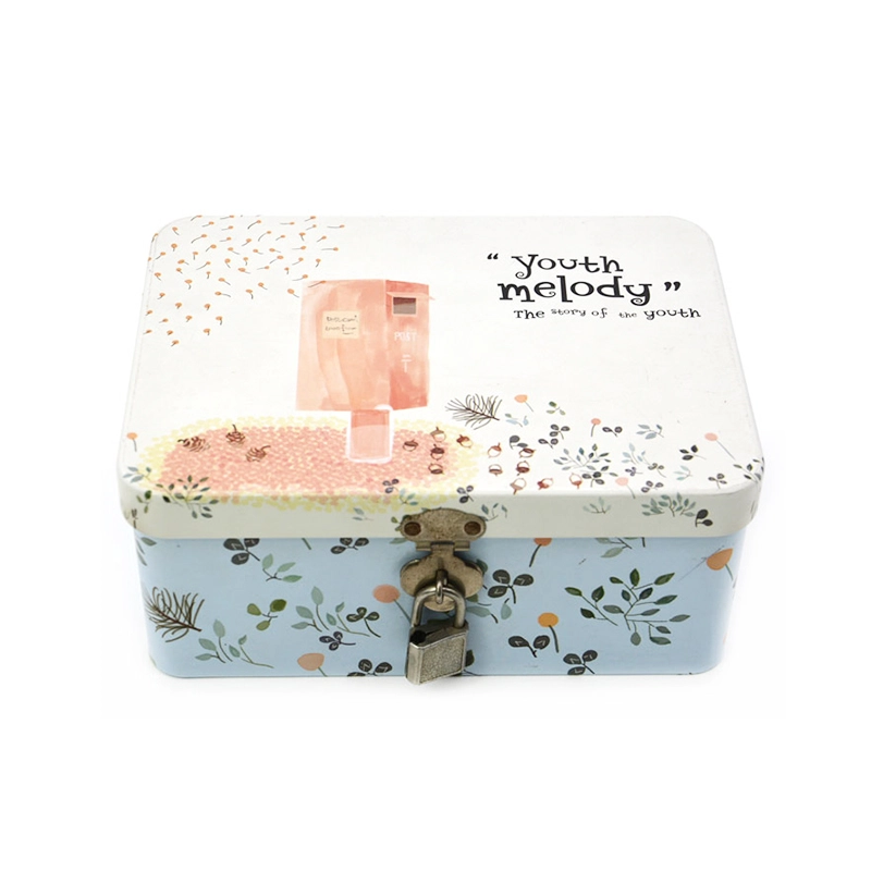 Chine Boîte de rangement en métal sur mesure avec serrure fabricant