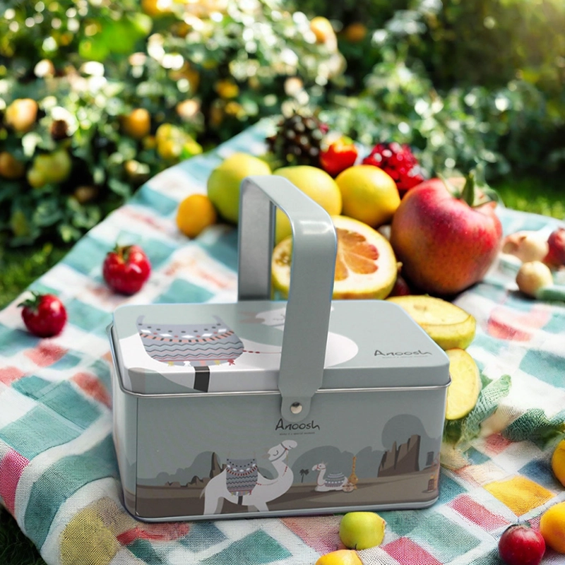 Boîte de rangement en métal avec couvercle: pourquoi choisir le fabricant de boîtes à étain chinois?