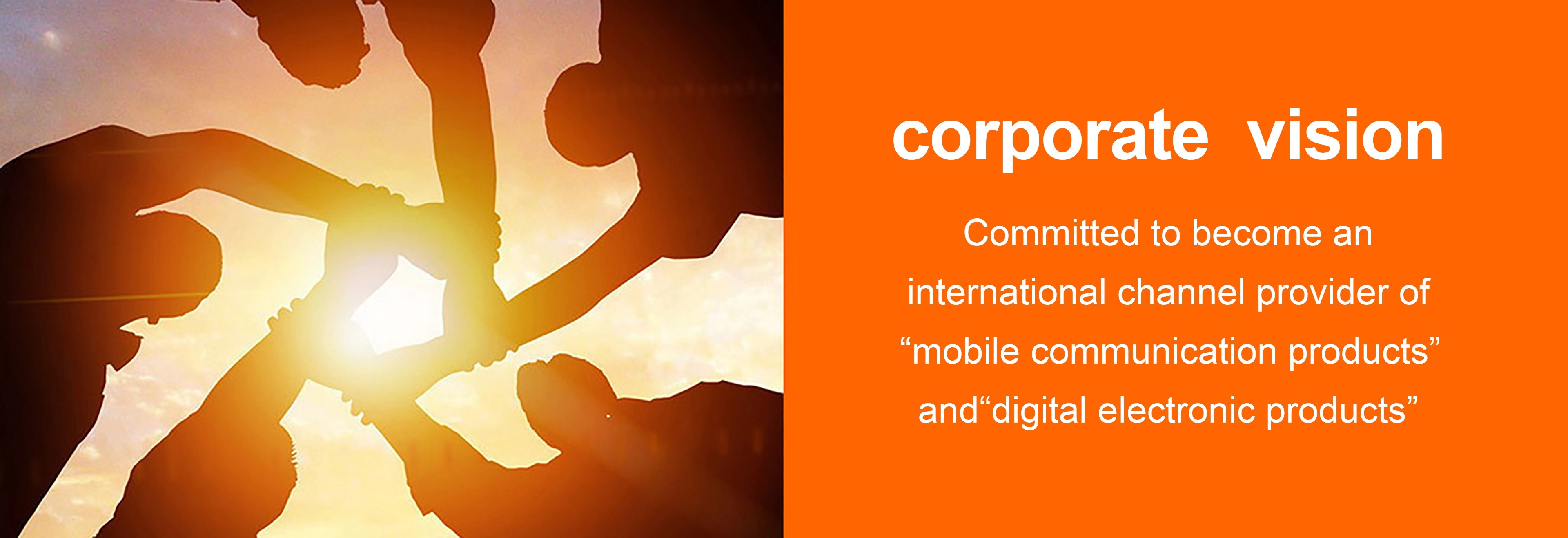 China Corporate vision Distributor