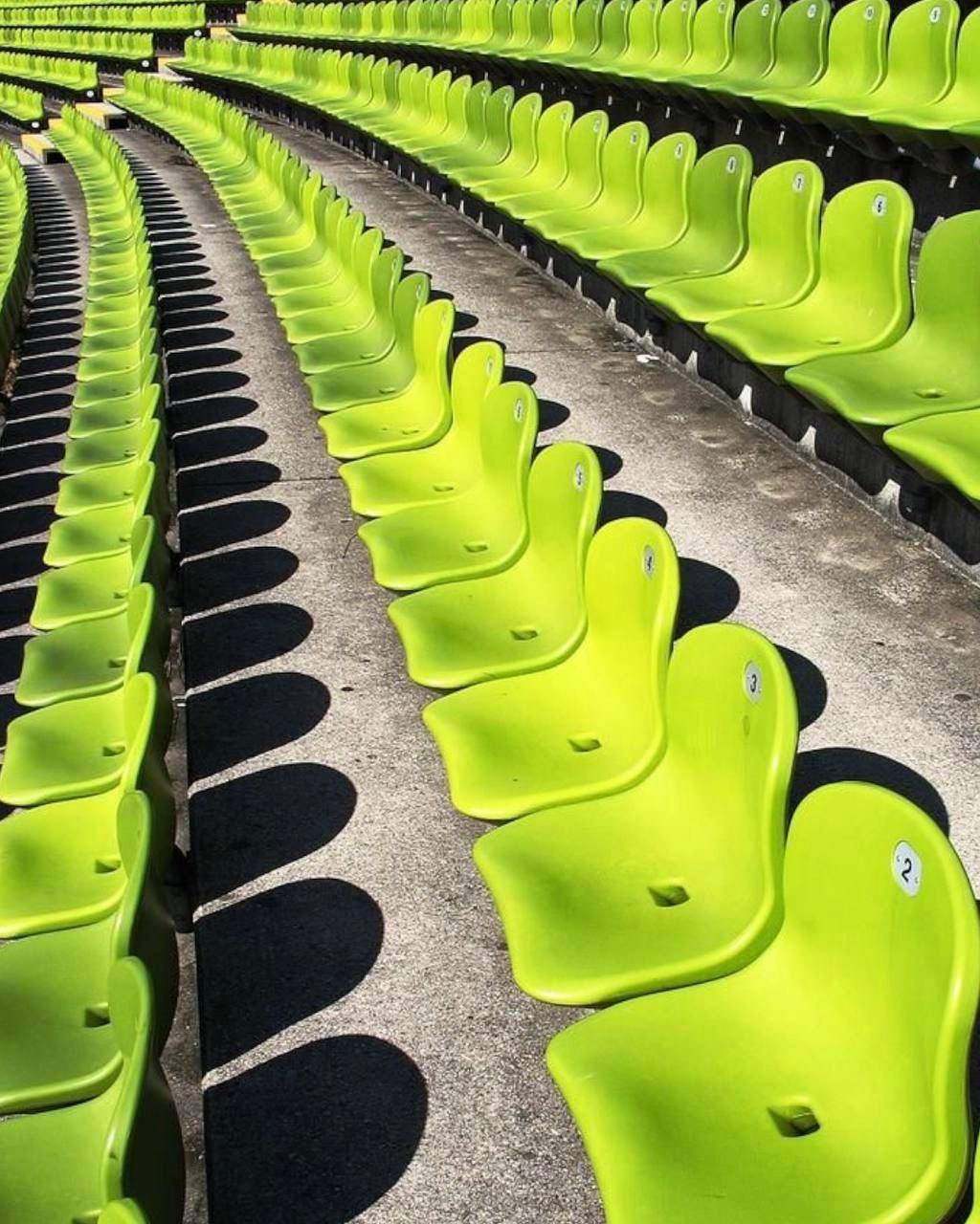 Accessible Seating Upgrades Are Making Stadiums Inclusive For Every Fan, New Regulations Mandate
