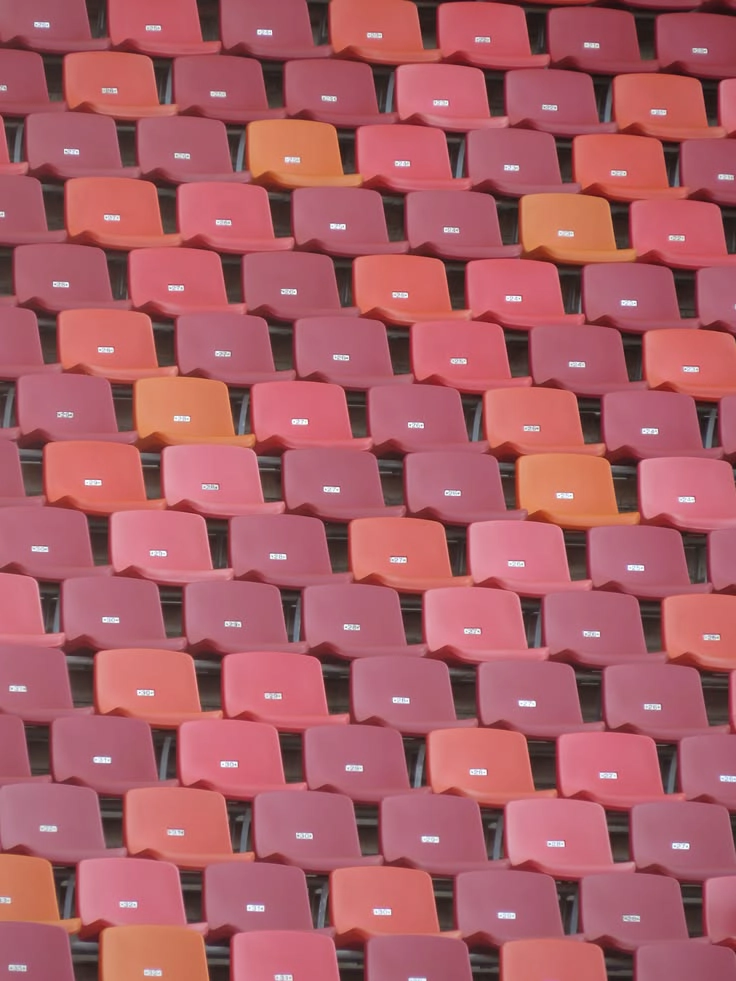 The Inclusive Stadium Chair: Designing for Every Body, Every Ability The Inclusive Stadium Chair: Designing for Every Body, Every Ability