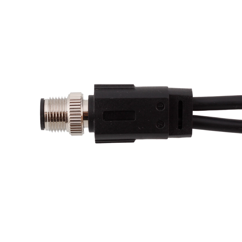 M12 2 3 4 5 6 8 y Typ männlich weiblicher Splitterkabel