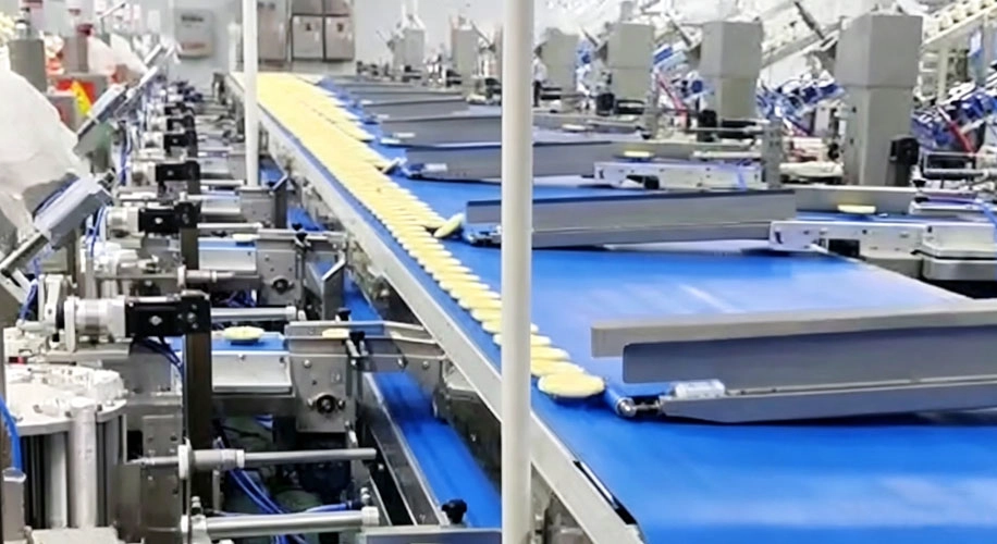 China Automatic Food Production Lines manufacturer