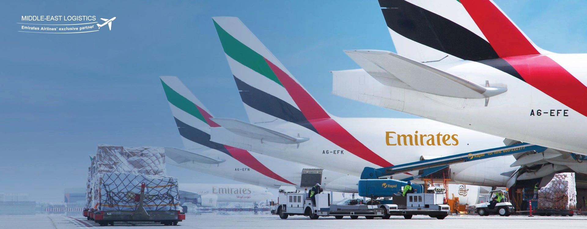 Çin'den Erbil Air Freight Service-Shenzhen DL Lojistik
